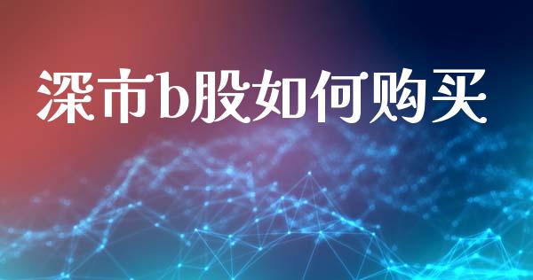 深市b股如何购买_https://m.jnbaishite.cn_期货研报_第1张