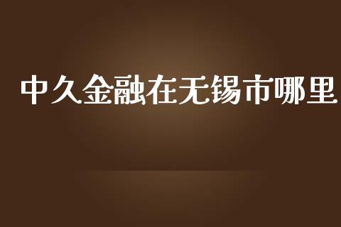 中久金融在无锡市哪里_https://m.jnbaishite.cn_期货研报_第1张