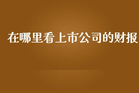 在哪里看上市公司的财报_https://m.jnbaishite.cn_投资管理_第1张