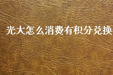 光大怎么消费有积分兑换_https://m.jnbaishite.cn_财经新闻_第1张