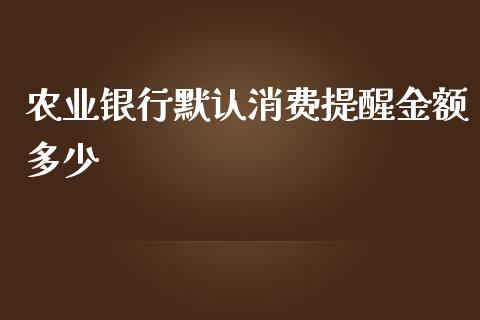 农业银行默认消费提醒金额多少_https://m.jnbaishite.cn_投资管理_第1张