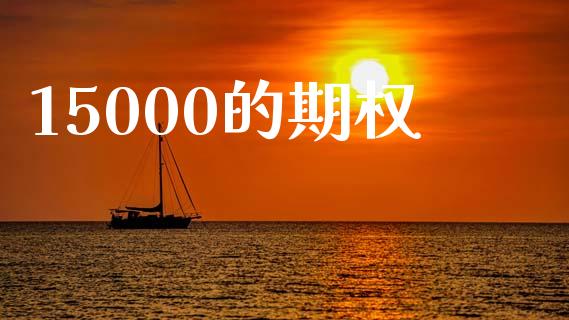 15000的期权_https://m.jnbaishite.cn_投资管理_第1张