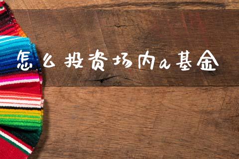 怎么投资场内a基金_https://m.jnbaishite.cn_投资管理_第1张