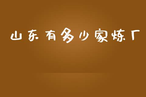山东有多少家炼厂_https://m.jnbaishite.cn_期货研报_第1张