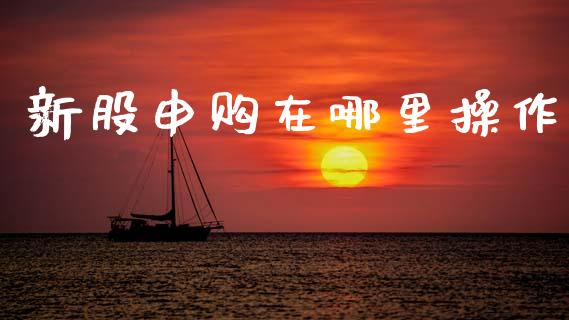 新股申购在哪里操作_https://m.jnbaishite.cn_期货研报_第1张
