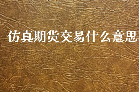 仿真期货交易什么意思_https://m.jnbaishite.cn_金融市场_第1张