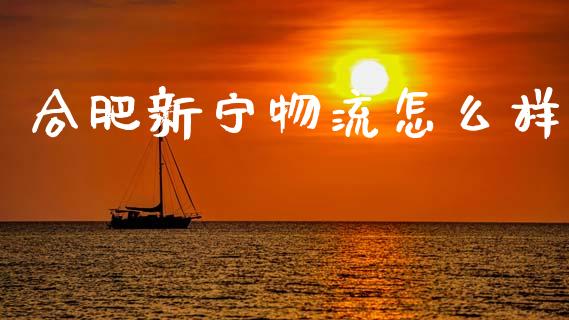 合肥新宁物流怎么样_https://m.jnbaishite.cn_财经新闻_第1张