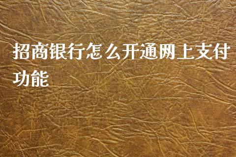 招商银行怎么开通网上支付功能_https://m.jnbaishite.cn_期货研报_第1张