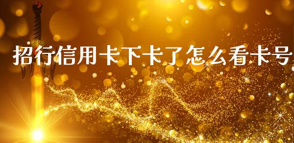 招行信用卡下卡了怎么看卡号_https://m.jnbaishite.cn_投资管理_第1张