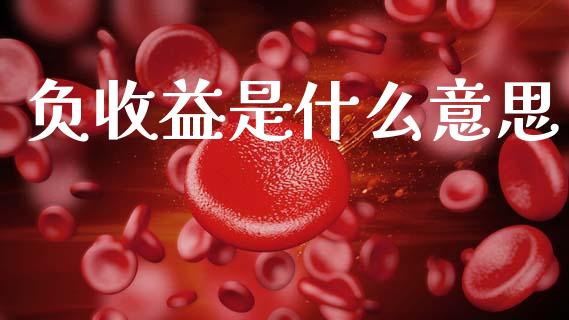 负收益是什么意思_https://m.jnbaishite.cn_财经新闻_第1张