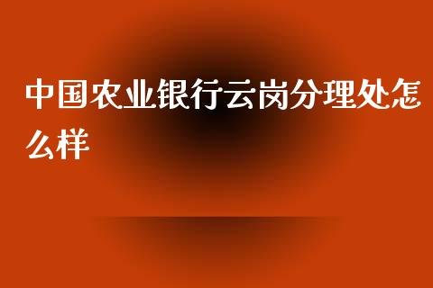 中国农业银行云岗分理处怎么样_https://m.jnbaishite.cn_财经新闻_第1张