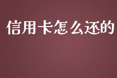 信用卡怎么还的_https://m.jnbaishite.cn_财经新闻_第1张