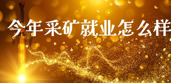 今年采矿就业怎么样_https://m.jnbaishite.cn_期货研报_第1张