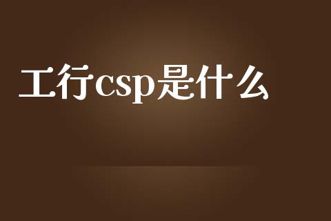 工行csp是什么_https://m.jnbaishite.cn_金融市场_第1张