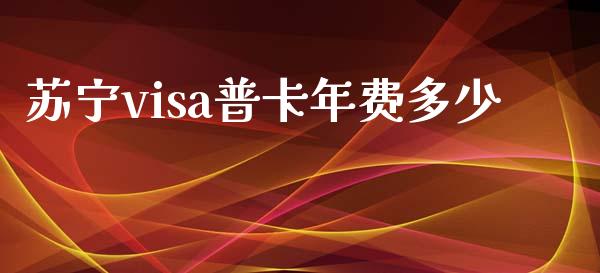 苏宁visa普卡年费多少_https://m.jnbaishite.cn_金融市场_第1张