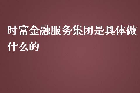 时富金融服务集团是具体做什么的_https://m.jnbaishite.cn_财经新闻_第1张