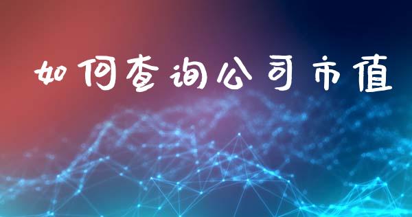 如何查询公司市值_https://m.jnbaishite.cn_期货研报_第1张