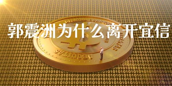 郭震洲为什么离开宜信_https://m.jnbaishite.cn_投资管理_第1张