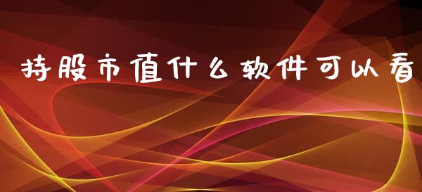 持股市值什么软件可以看_https://m.jnbaishite.cn_金融市场_第1张