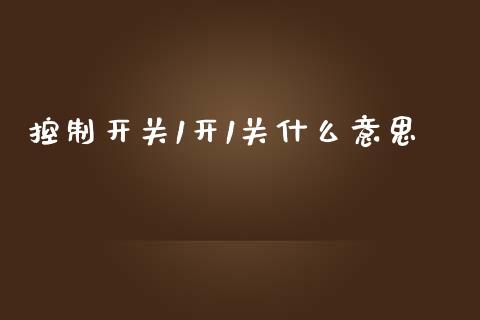 控制开关1开1关什么意思_https://m.jnbaishite.cn_财经新闻_第1张