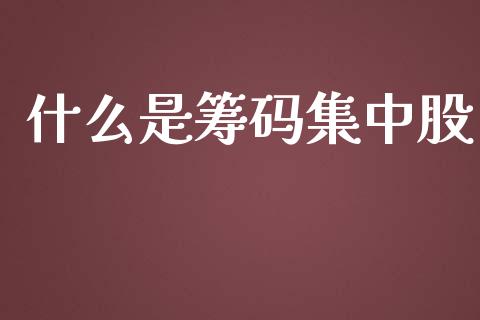 什么是筹码集中股_https://m.jnbaishite.cn_期货研报_第1张