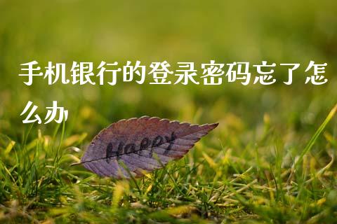 手机银行的登录密码忘了怎么办_https://m.jnbaishite.cn_期货研报_第1张