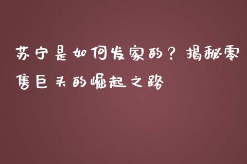 苏宁是如何发家的？揭秘零售巨头的崛起之路_https://m.jnbaishite.cn_期货研报_第1张