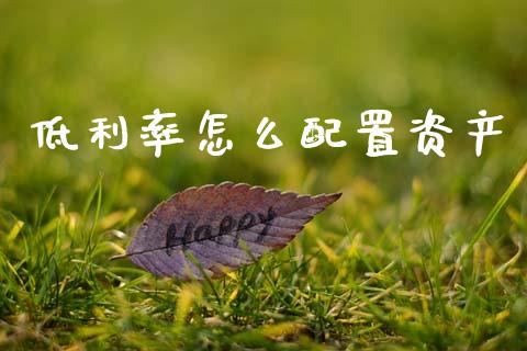 低利率怎么配置资产_https://m.jnbaishite.cn_期货研报_第1张