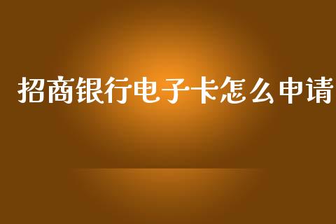 招商银行电子卡怎么申请_https://m.jnbaishite.cn_金融市场_第1张