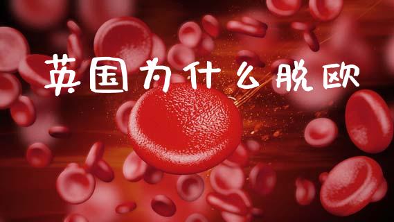 英国为什么脱欧_https://m.jnbaishite.cn_投资管理_第1张