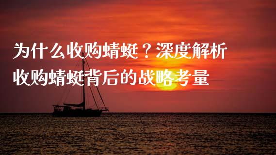 为什么收购蜻蜓？深度解析收购蜻蜓背后的战略考量_https://m.jnbaishite.cn_金融市场_第1张
