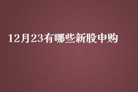 12月23有哪些新股申购_https://m.jnbaishite.cn_金融市场_第1张