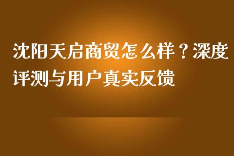 沈阳天启商贸怎么样？深度评测与用户真实反馈_https://m.jnbaishite.cn_投资管理_第1张