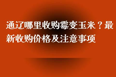 通辽哪里收购霉变玉米?最新收购价格及注意事项_投资管理_第1张_财经新闻_投资管理_金融市场_期货研报 通辽哪里收购霉变玉米?最新收购价格及注意事项_https://m.jnbaishite.cn_投资管理_第1张