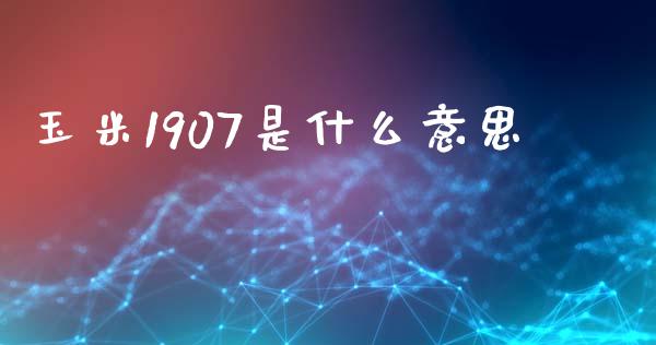 玉米1907是什么意思_投资管理_第1张_财经新闻_投资管理_金融市场_期货研报 玉米1907是什么意思_https://m.jnbaishite.cn_投资管理_第1张
