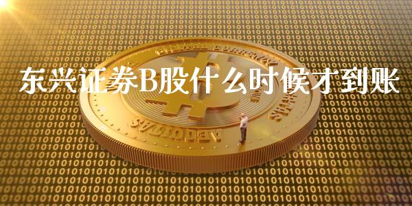 东兴证券B股什么时候才到账_https://m.jnbaishite.cn_投资管理_第1张