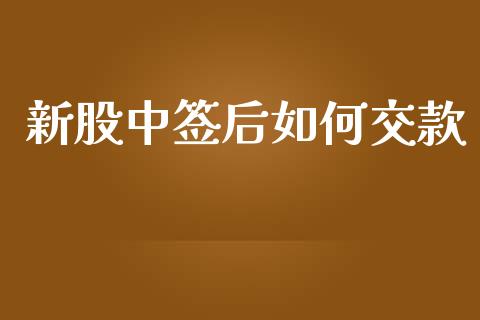 新股中签后如何交款_https://m.jnbaishite.cn_财经新闻_第1张