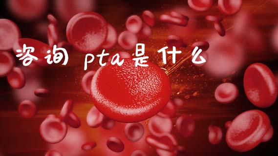 咨询 pta是什么_https://m.jnbaishite.cn_投资管理_第1张