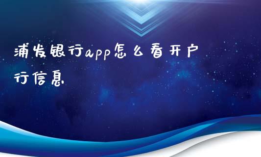 浦发银行app怎么看开户行信息_https://m.jnbaishite.cn_财经新闻_第1张