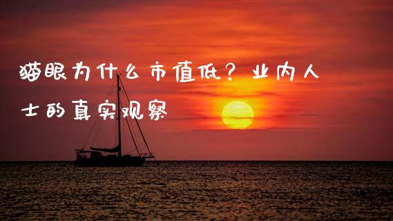 猫眼为什么市值低？业内人士的真实观察_https://m.jnbaishite.cn_期货研报_第1张