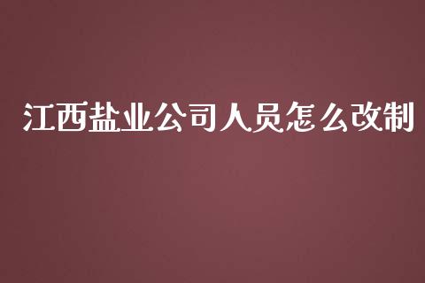 江西盐业公司人员怎么改制_https://m.jnbaishite.cn_期货研报_第1张