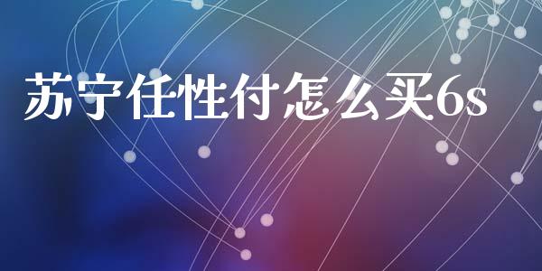 苏宁任性付怎么买6s_https://m.jnbaishite.cn_投资管理_第1张