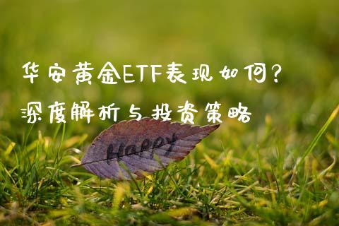 华安黄金ETF表现如何？深度解析与投资策略_https://m.jnbaishite.cn_投资管理_第1张