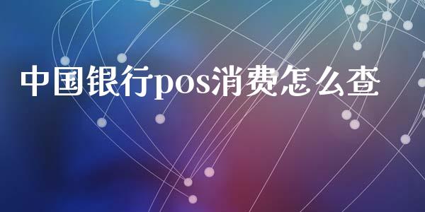 中国银行pos消费怎么查_https://m.jnbaishite.cn_财经新闻_第1张