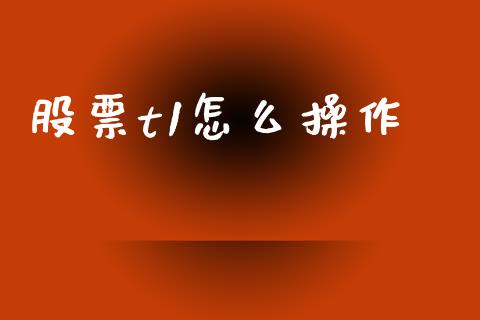 股票t1怎么操作_https://m.jnbaishite.cn_期货研报_第1张