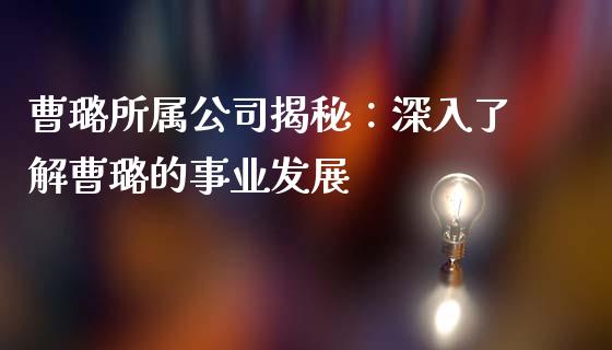 曹璐所属公司揭秘：深入了解曹璐的事业发展_https://m.jnbaishite.cn_期货研报_第1张