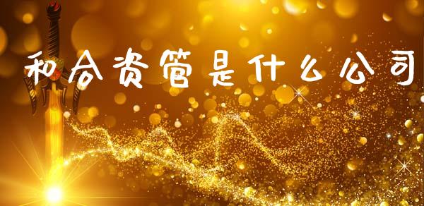 和合资管是什么公司_https://m.jnbaishite.cn_投资管理_第1张