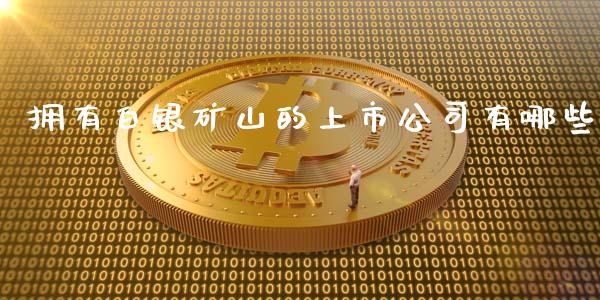 拥有白银矿山的上市公司有哪些_https://m.jnbaishite.cn_期货研报_第1张