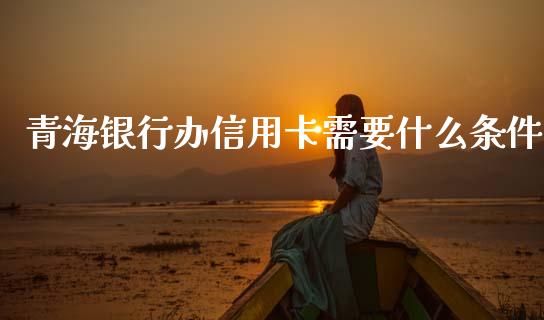 青海银行办信用卡需要什么条件_https://m.jnbaishite.cn_财经新闻_第1张