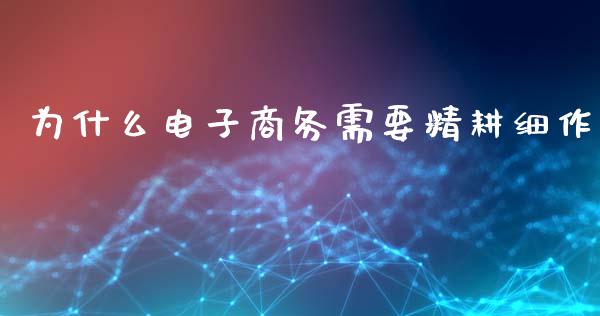 为什么电子商务需要精耕细作_https://m.jnbaishite.cn_财经新闻_第1张